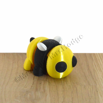 Insects and Other Creatures