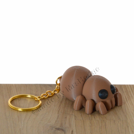 Insects and Other Creatures