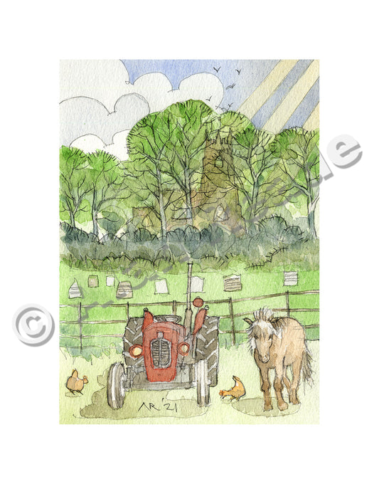 Glebe Field Pony