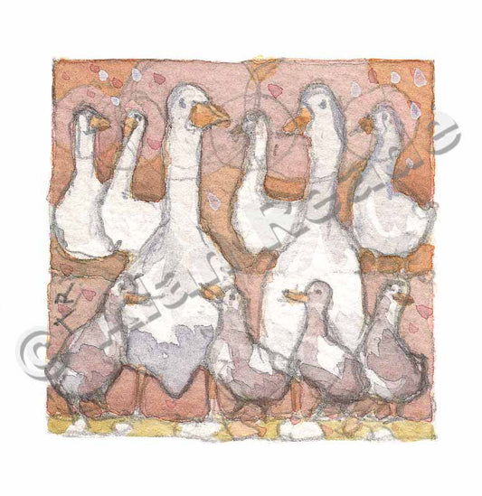 Geese