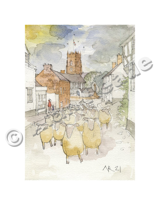 High Street Sheep