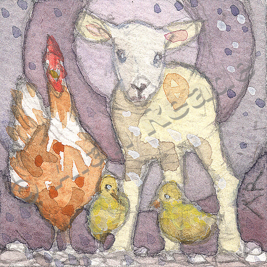 Lamb
