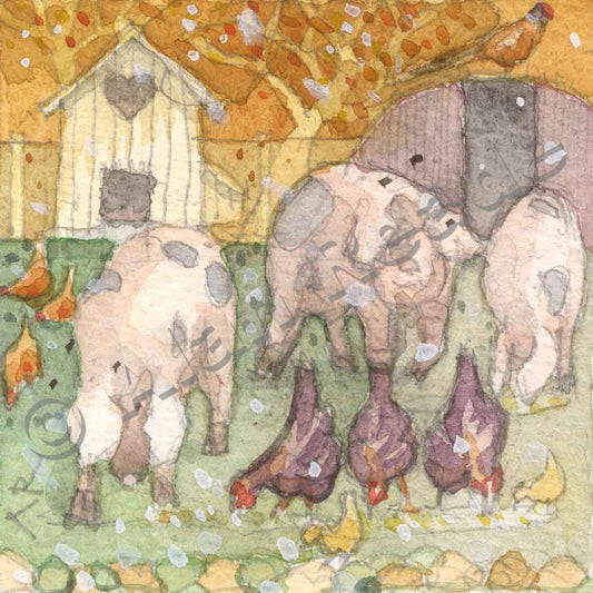Pigs
