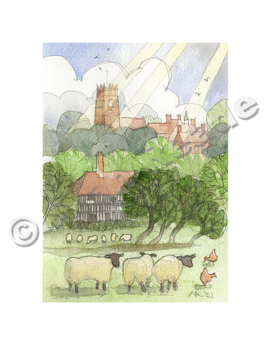 Powk Hall Sheep
