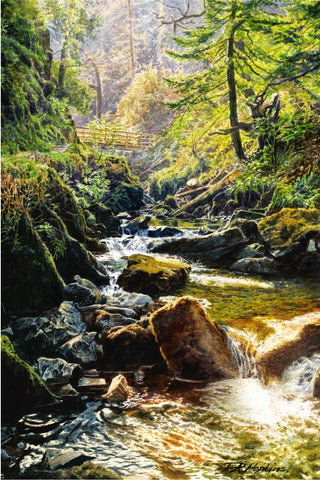 Bubbling Beck, Stanley Ghyll