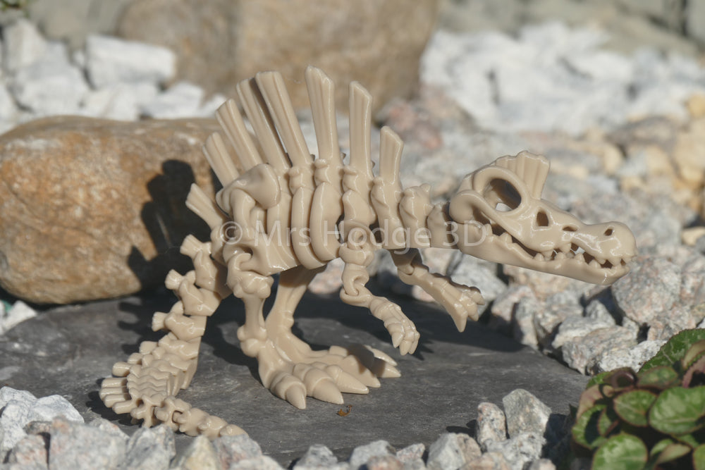 Skeleton Dinosaurs