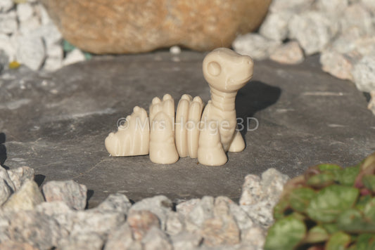 Mini Skeleton Dinosaurs