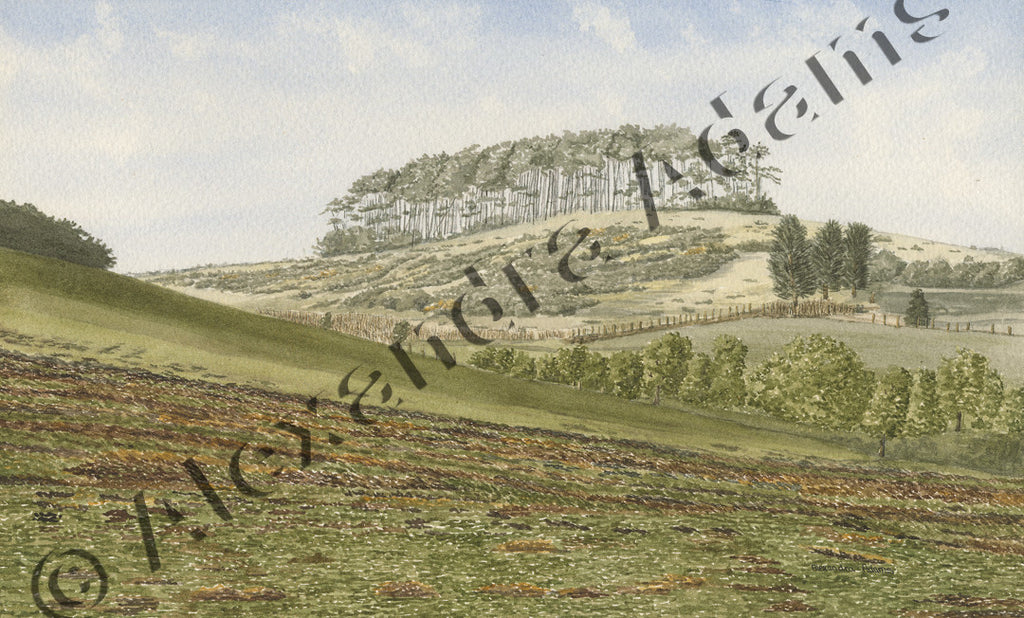 Callow Hill 1
