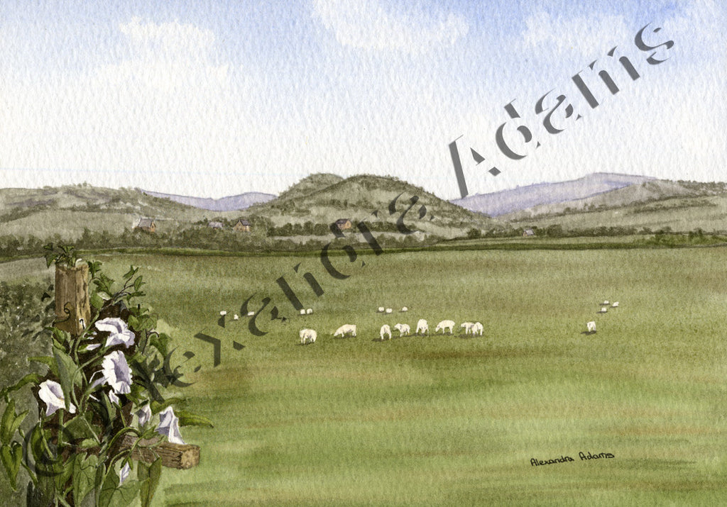 Pontesbury Hill