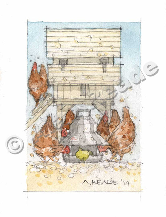 Chicken Feed
