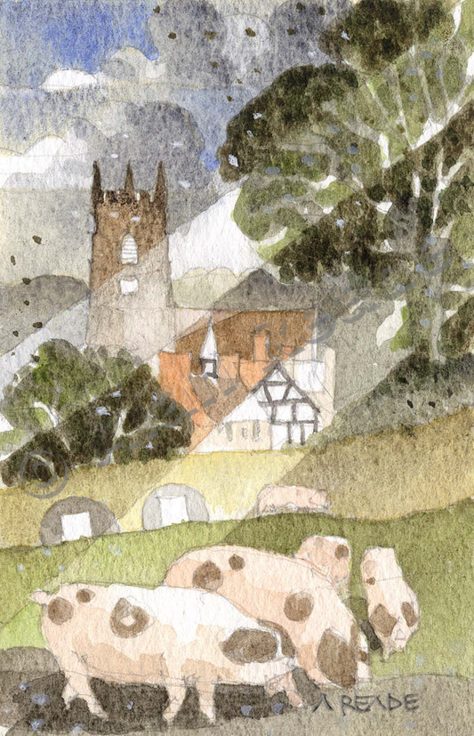 Claverley Pigs