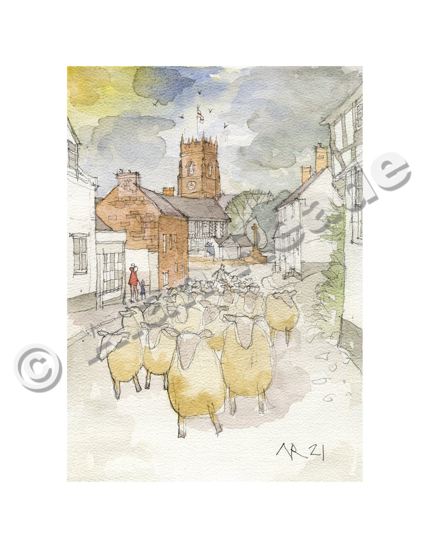 High Street Sheep