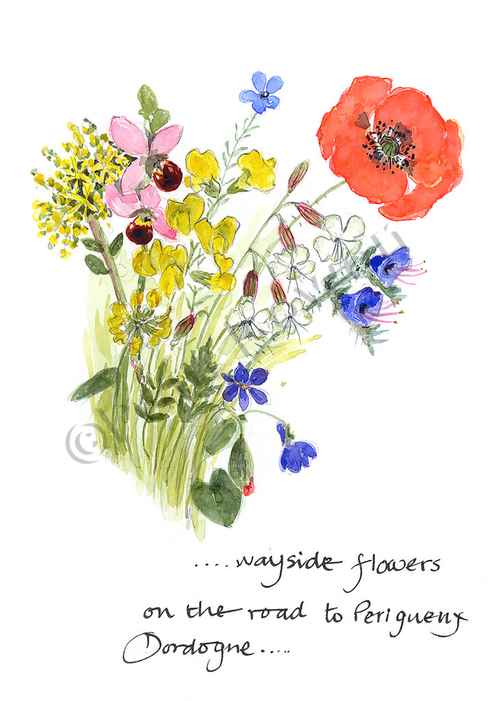 Perigueux Flowers