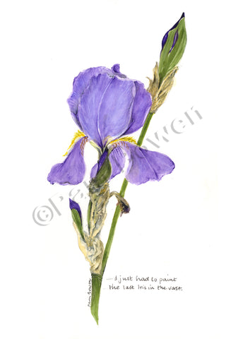 The Last Iris in the Vase