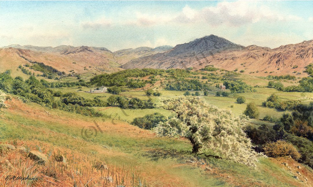 The Valley of Eskdale